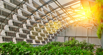 Greenhouse Heating